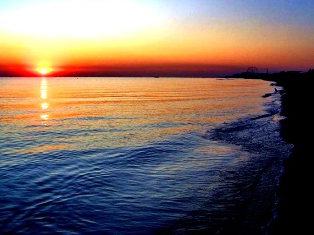 Самое мелкое море в мире – Азовское. Первое знакомство с Азовским морем, как называлось раньше, животный мир, курорты на Азовском море