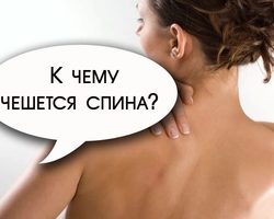 К чему чешется спина сбоку, вверху, внизу, поясница, лопатки: любовные приметы по дням недели для мужчин и женщин