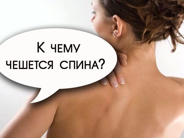 К чему чешется спина сбоку, вверху, внизу, поясница, лопатки: любовные приметы по дням недели для мужчин и женщин