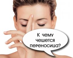 К чему чешется переносица вверху, внизу, внутри, кончик носа, на лбу, с правого, левого боку: любовные приметы по дням недели для мужчин и женщин