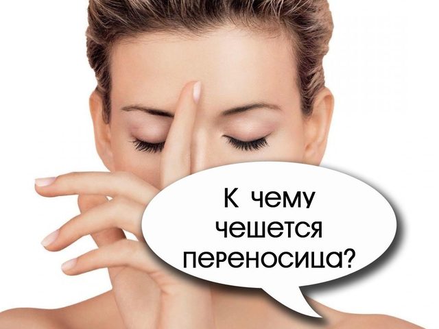 К чему чешется переносица вверху, внизу, внутри, кончик носа, на лбу, с правого, левого боку: любовные приметы по дням недели для мужчин и женщин