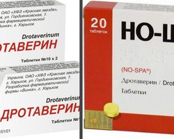 Дротаверин и Но-шпа — в чем разница: состав, способ применения, противопоказания, как действуют на организм?