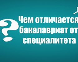 Бакалавриат и специалитет: в чем разница?