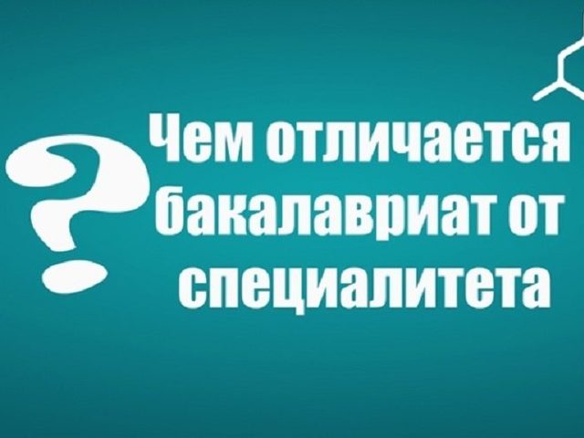Бакалавриат и специалитет: в чем разница?