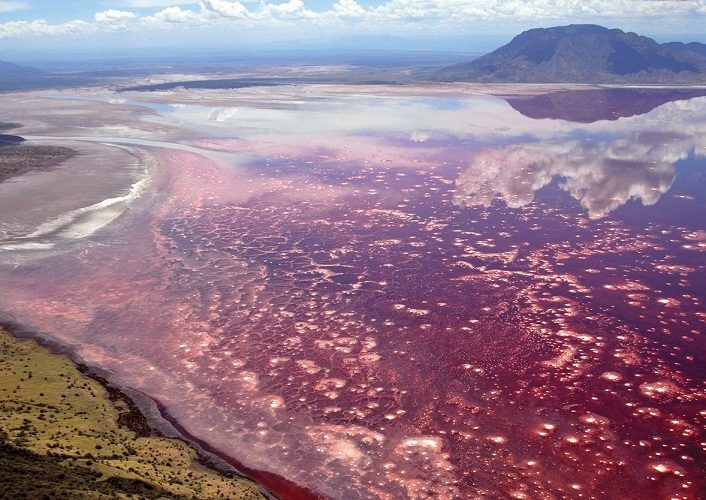 Озеро действительно имеет красный цвет