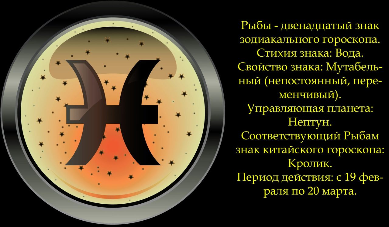 Рыбы