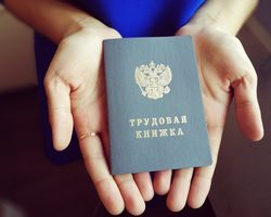 Делать ли запись в трудовой книжке ИП самому себе? Надо ли ИП заводить для себя трудовую книжку? Запись в трудовой книжке индивидуального предпринимателя: образец