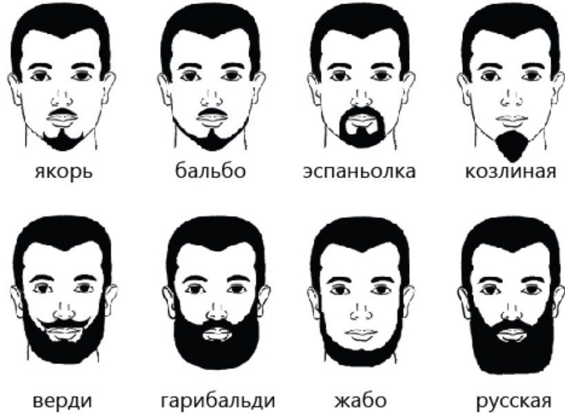 Виды бороды
