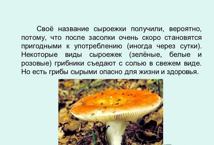 Они отнюдь непригодны для употребления в сыром виде!