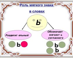 Слова с мягким знаком для обозначения мягкости предшествующего согласного звука, в середине слова: правописание, правило, примеры