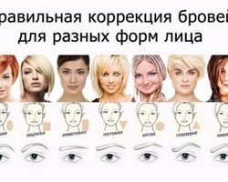 Как подобрать форму бровей для разных типов лица: советы, фото