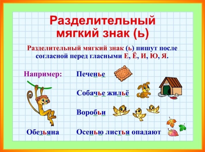 Правила правописания мягкого знака