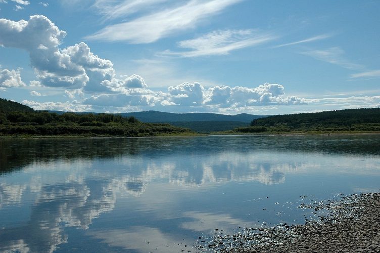 В данной реке водится 108 видов рыбы