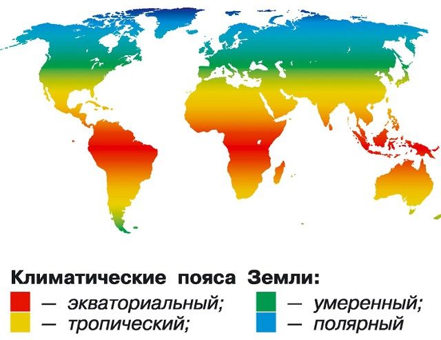 Пояса
