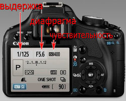 Как настроить фотоаппарат? Настройки фотоаппарата: как настроить ручные режимы, как настроить фокус?