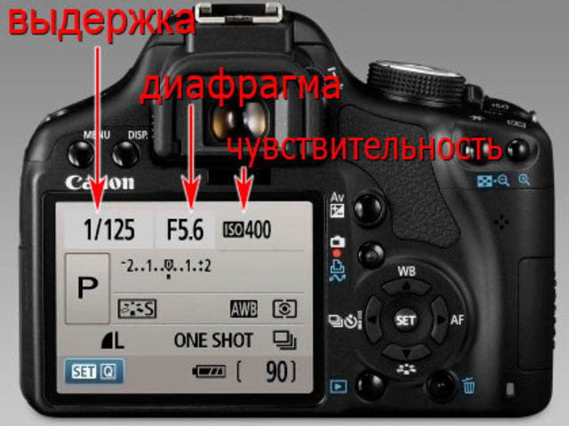 Как настроить фотоаппарат? Настройки фотоаппарата: как настроить ручные режимы, как настроить фокус?