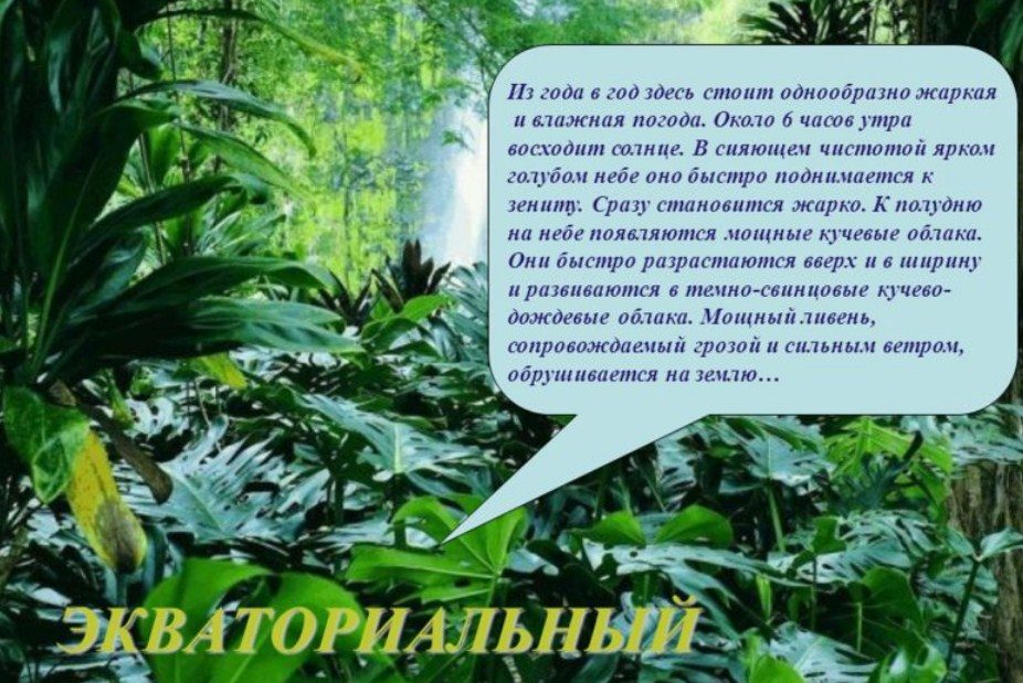 Пояс