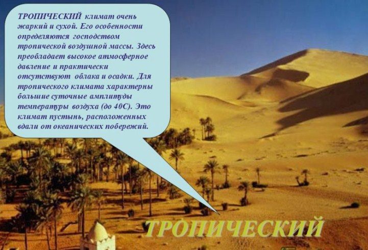 Тропики