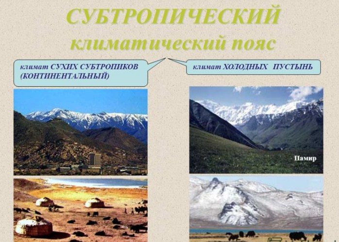 Субтропики