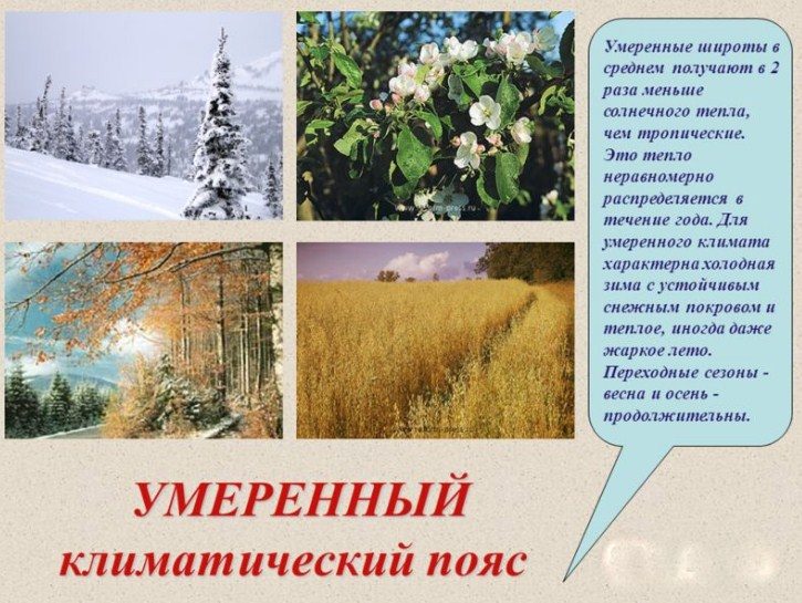 Умеренный