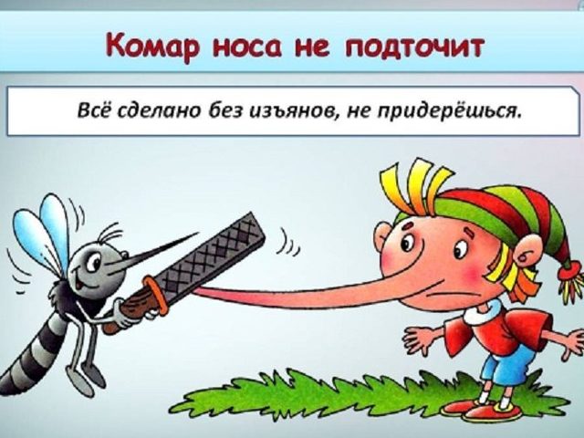 Что означает фраза «комар носа не подточит»: значение и происхождение фразеологизма