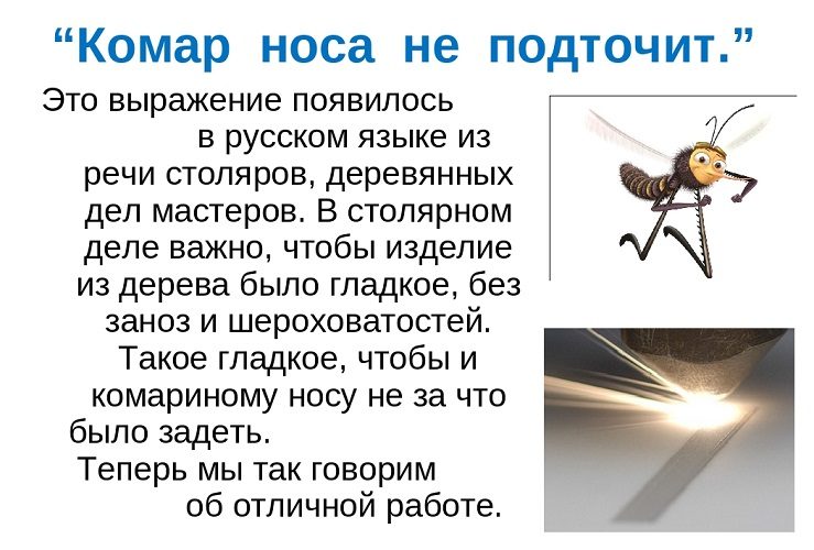 Нос комара приравнивается к идеальной работе