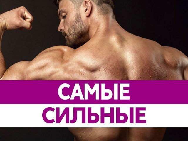 Кто самый сильный человек в мире за всю историю человечества? Топ-10 самых сильных спортсменов в мире