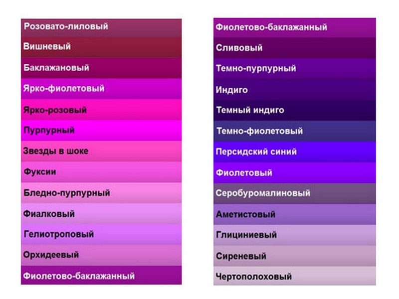 Какие бывают цвета фиолетового?
