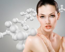 Какой орган в человеческом теле самый большой? Из чего состоит самый большой орган, какие функции выполняет? Интересные факты о самом большом органе человека