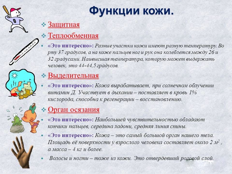 Функции