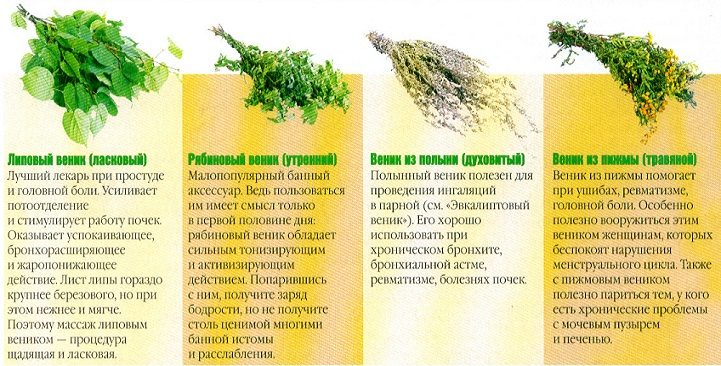 Виды веников для бани