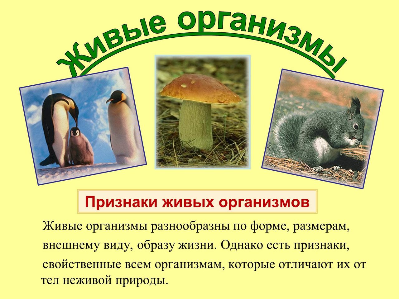 Характеристика