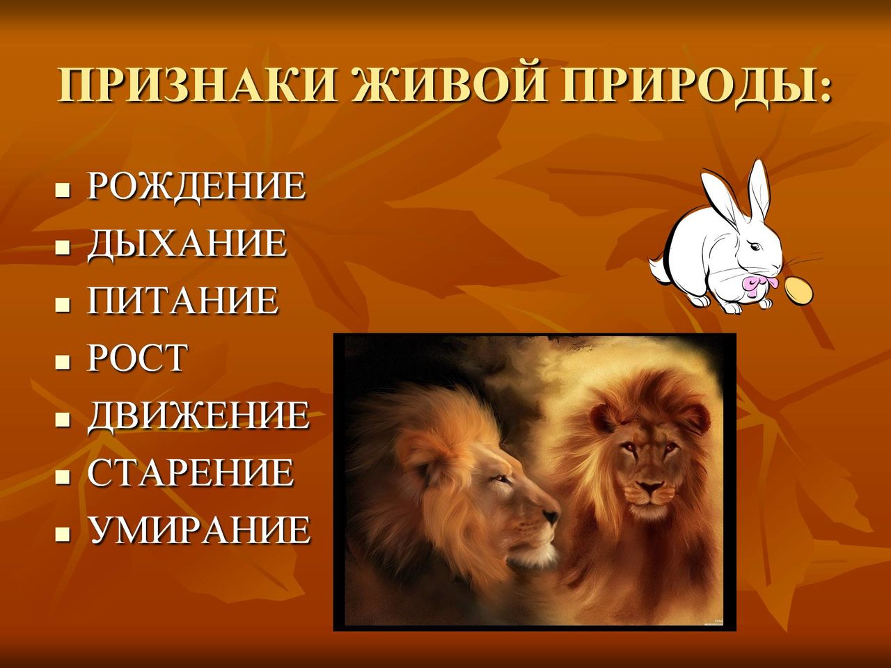 Особенности