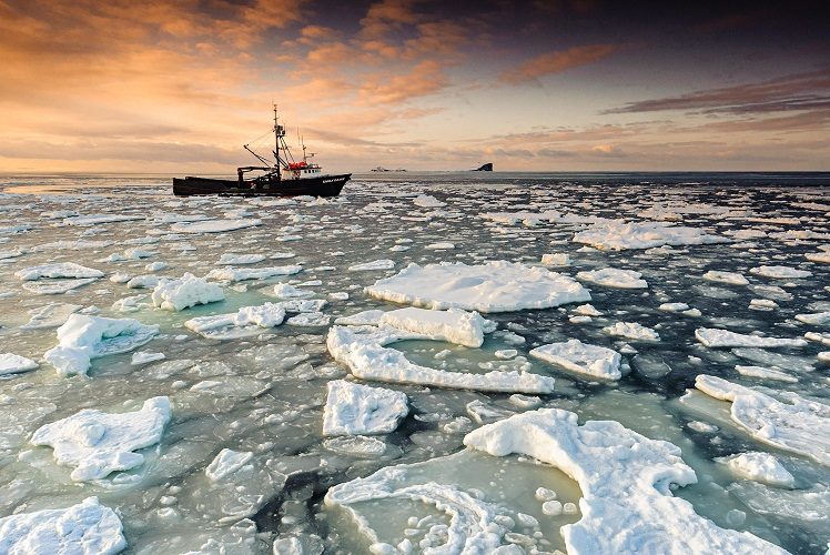 Море в основном покрыто льдом