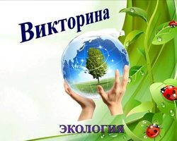 Викторина по экологии с ответами: вопросы для младших классов, для юных экологов, вопросы для викторины: «Экология – цифры и факты»