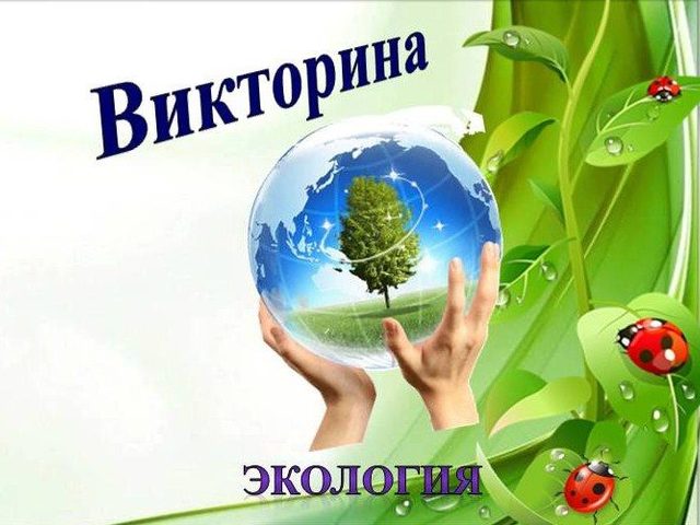 Викторина по экологии с ответами: вопросы для младших классов, для юных экологов, вопросы для викторины: «Экология – цифры и факты»