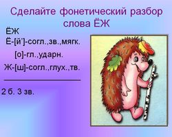 Фонетический разбор слова «еж», по звукам: звуко-буквенный разбор, цветовая схема слова
