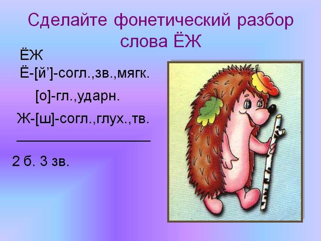Фонетический разбор слова «еж», по звукам: звуко-буквенный разбор, цветовая схема слова