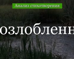 Стихотворение «Блажен озлобленный поэт» Якова Полонского: анализ