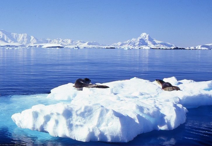 Море действительно имеет кристально чистую и прозрачную воду