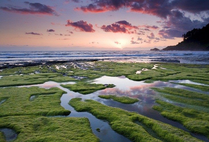 Не слишком напоминает море, в котором бы хотелось искупаться