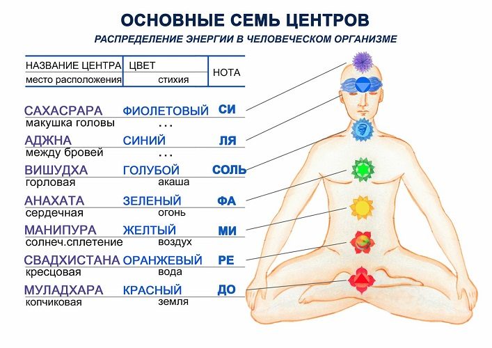 Так сосредоточены чакры в нашем теле