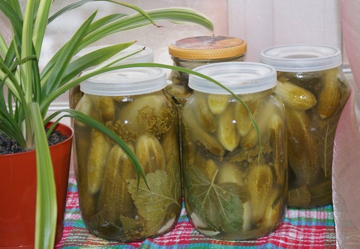 Получаются такие маринованные огурчики
