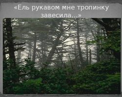 Анализ стихотворения Фета А. А: «Ель рукавом мне тропинку завесила»