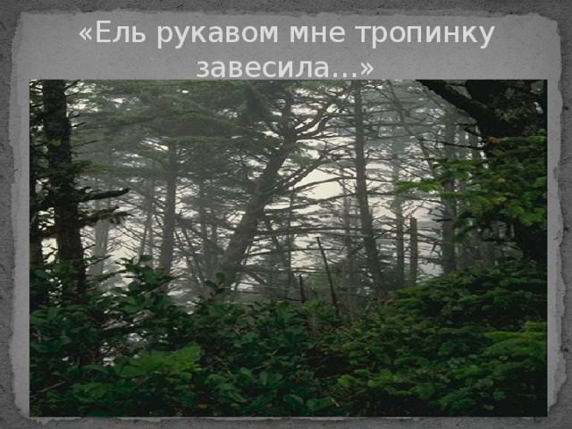Анализ стихотворения Фета А. А: «Ель рукавом мне тропинку завесила»