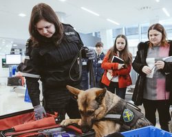 Что нельзя и можно ввозить в Российскую Федерацию, вывозить из РФ, перевозить через таможню: таможенные правила России для физических лиц, туристов