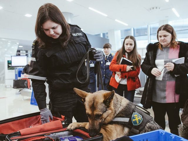 Что нельзя и можно ввозить в Российскую Федерацию, вывозить из РФ, перевозить через таможню: таможенные правила России для физических лиц, туристов