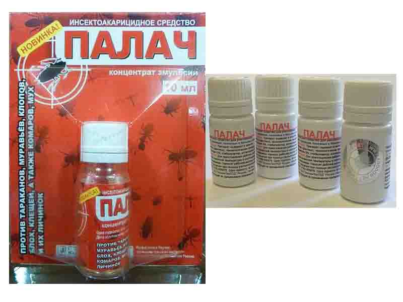 Палач