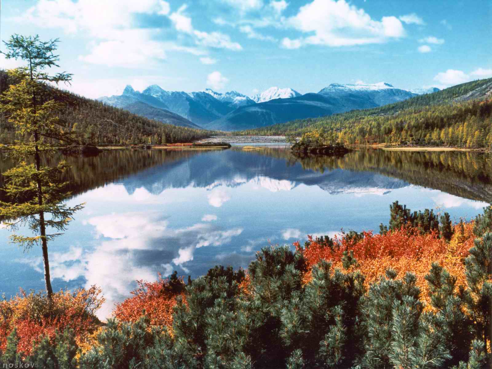 Красота