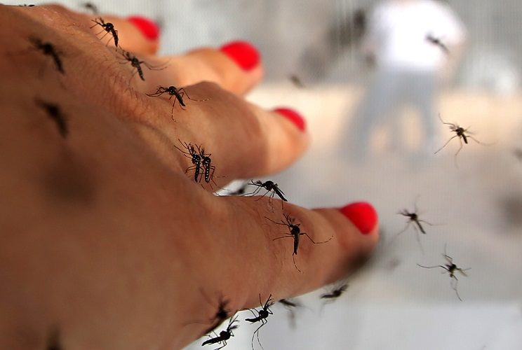 Для девушки это может означать скорую свадьбу
